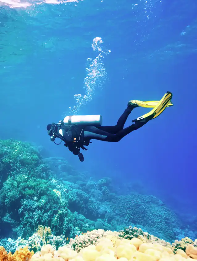 Scuba Diving Image