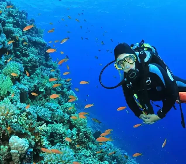 Scuba Diving In Goa - Fast Travels