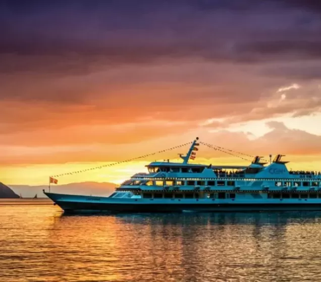 Sunset Party Cruise Goa